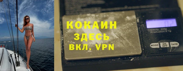 индика Аркадак