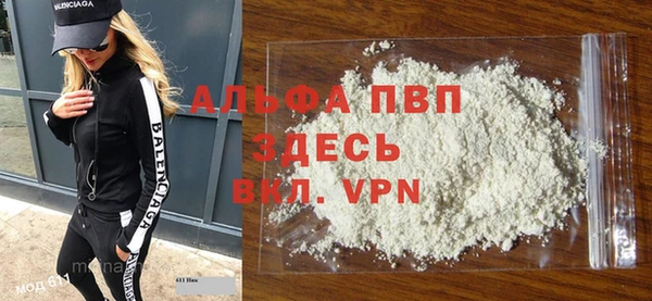 индика Аркадак