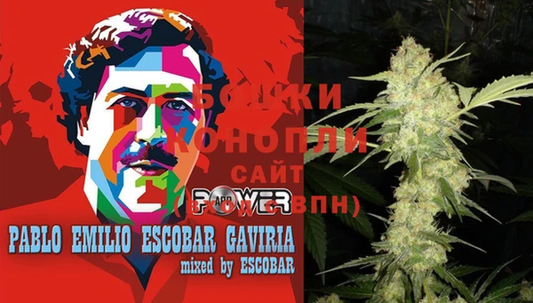 индика Аркадак
