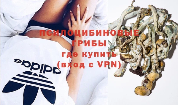 не бодяженный Заводоуковск