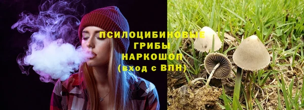 индика Аркадак
