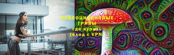 индика Аркадак