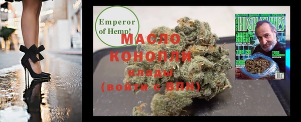 индика Аркадак