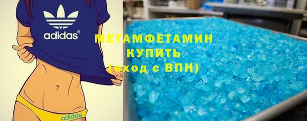 индика Аркадак